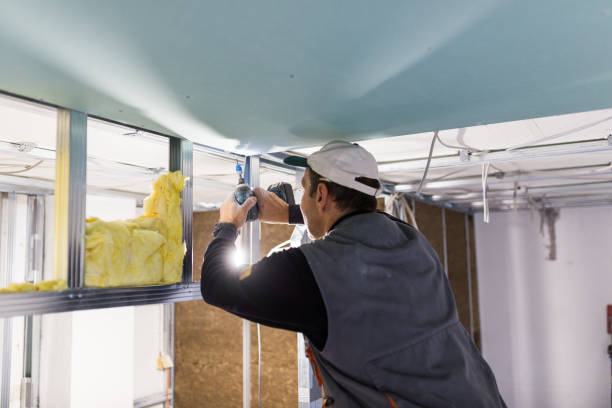 Insulation Inspection Services in Sandy Hook, CT